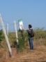 Moldova, Miclesti Criuleni, village, reforestation, greening