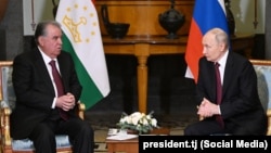 Эмомалӣ Раҳмон ва Владимир Путин. Санкт-Петербург, 22-юми декабри 2025