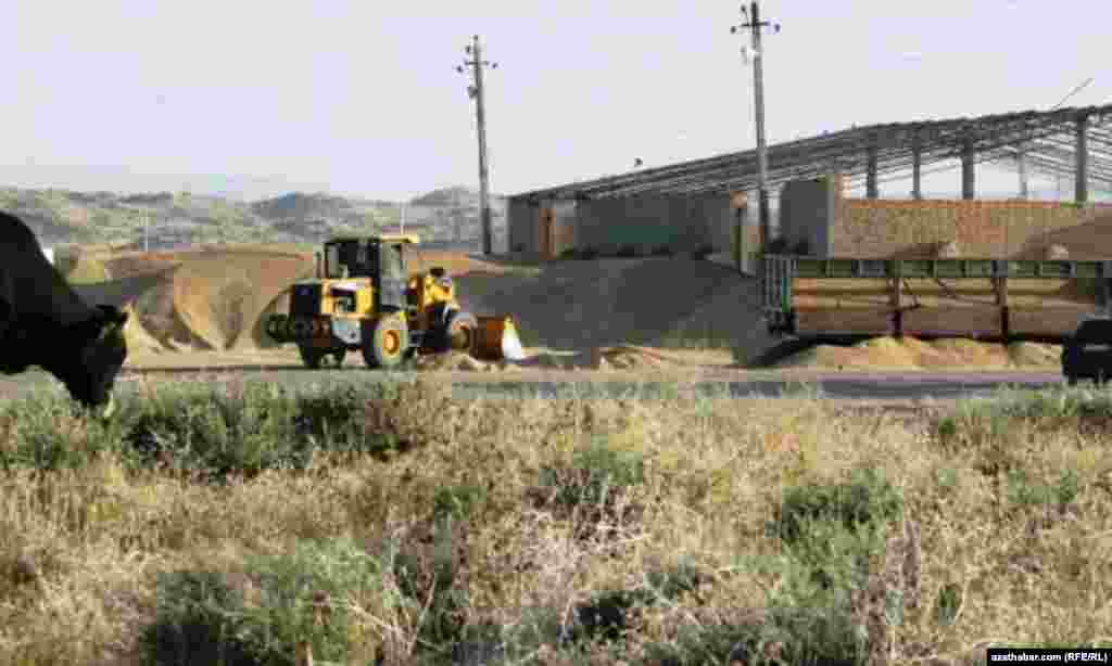 Tagtabazaryň bugdaý ammarlarynyň biri