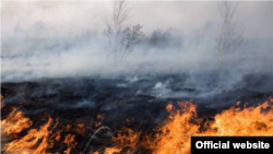 Пожар на склоне горы в сельском округе Орток Нарынской области. Фото МЧС. 