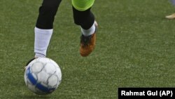 ارشیف، عکس تزئیني بڼه لري