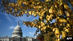 Ця пропозиція не пропонує справжнього шляху до тривалого миру, а натомість вимагає капітуляції України перед російською агресією, заявляють співголови Українського кокусу