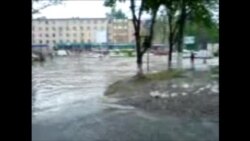 Тошкентда жала оқибатлари