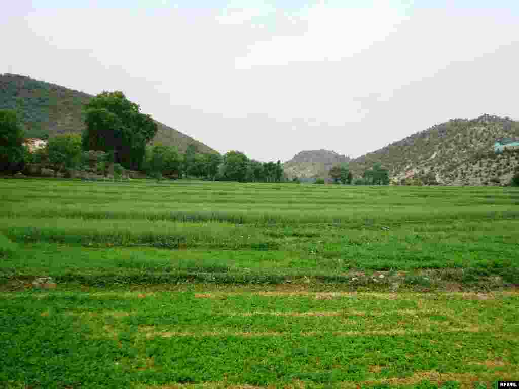 د خوست ځاځي ميدان ولسوالي