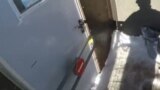 Өлүм менен арбашкан канаттуу оен