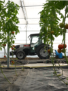 Moldova, Greenhouse at the Technical University of Moldova