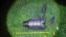 Moldova, Parts of the drone detected near the village of Brănești, in Orhei District, exhibit features specific to the Geran model