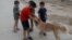 Animal rights defenders say children have been hired to locate, catch, and kill the animals or bring them to a hangar in Ashgabat's outskirts. (illustrative photo)