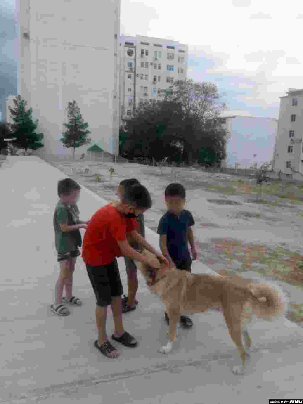 Aşgabat. Köçede it bilen oýnaýan çagalar. Sentýabr, 2020.