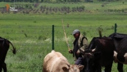 «Повзуча окупація» в Південній Осетії: восьма річниця (відео)