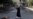 Afghans Protest Anti-Islam Film