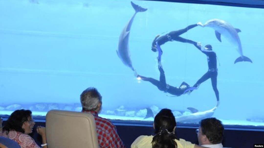 Fidel Castro (second from left) and journalist Jeffrey Goldberg (right) watch a dolphin performance at Havana's National Aquarium on August 29.