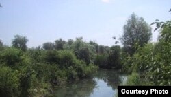 Rîul Bîc (Foto: enpi-info.eu)