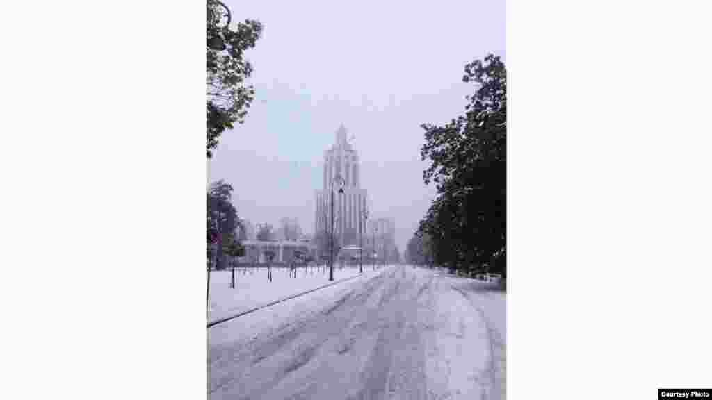 ფოტო: სერა ძნელაძე