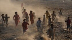 د لوبو له میدانه