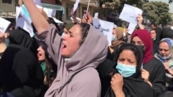 Despite Gunfire And Lashings, Afghan Women's Protests Grow