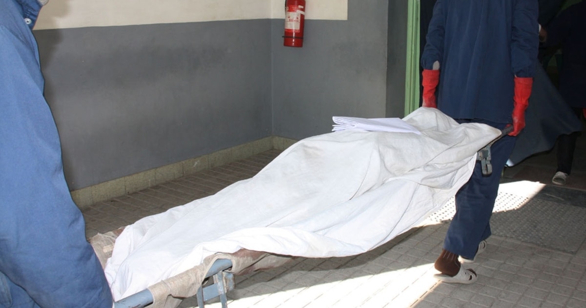 Олар жасырын камераға жыныс мүшелерімен зәр шығарады