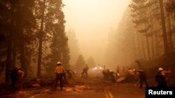 Pompierii adună rămășițele unui copac ars ce s-a prăbușit peste autostrada 89 în urma incendiului Dixie din California, 6 august 2021. Incendiul, încă activ, a devastat până la momentul de față peste 187.000 de hectare și este al doilea ca mărime înregistrat vreodată în California, după cel din august 2020.