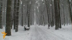 Такое жыцьцё: Менск зноў завалены сьнегам