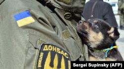  Боец украинского добровольческого батальона Донбасс.