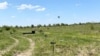 Pengesa kundër dronëve Chaharnyk gjatë testimit në Ukrainë.