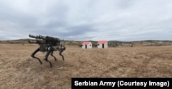A robot dog seen during the Victor 2026 military exercise