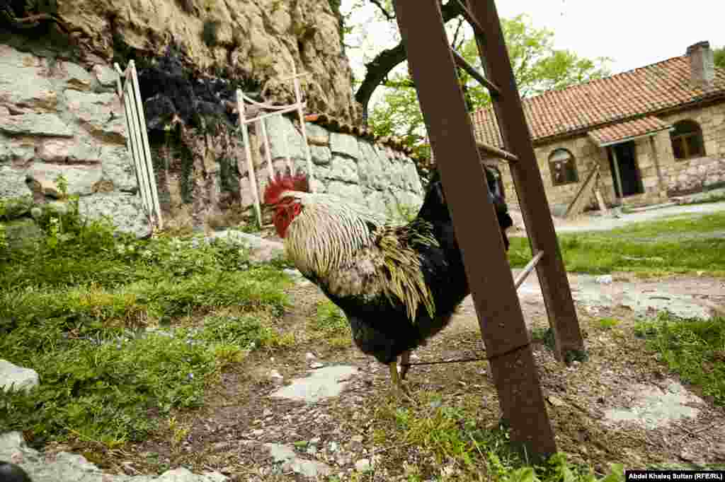 Rahib Maksim ətraf kəndlərdə yaşayan insanların gətridiyi azuqə ilə dolanır. Adətən insanlar topladıqları azuqəni ayda bir dəfə iplə qayalıqdakı monastra çatdırırlar.