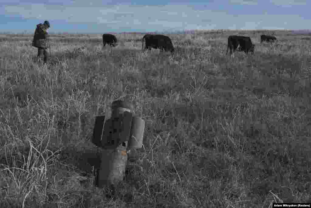 A man outside Stepanakert herds his cows near a rocket case left behind after the recent military conflict over Nagorno-Karabakh. (Reuters/Artem Mikryukov)&nbsp;