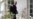 Has Biden Thrown Ukraine Under The Bus Or Averted War? Or Both? Or Neither?