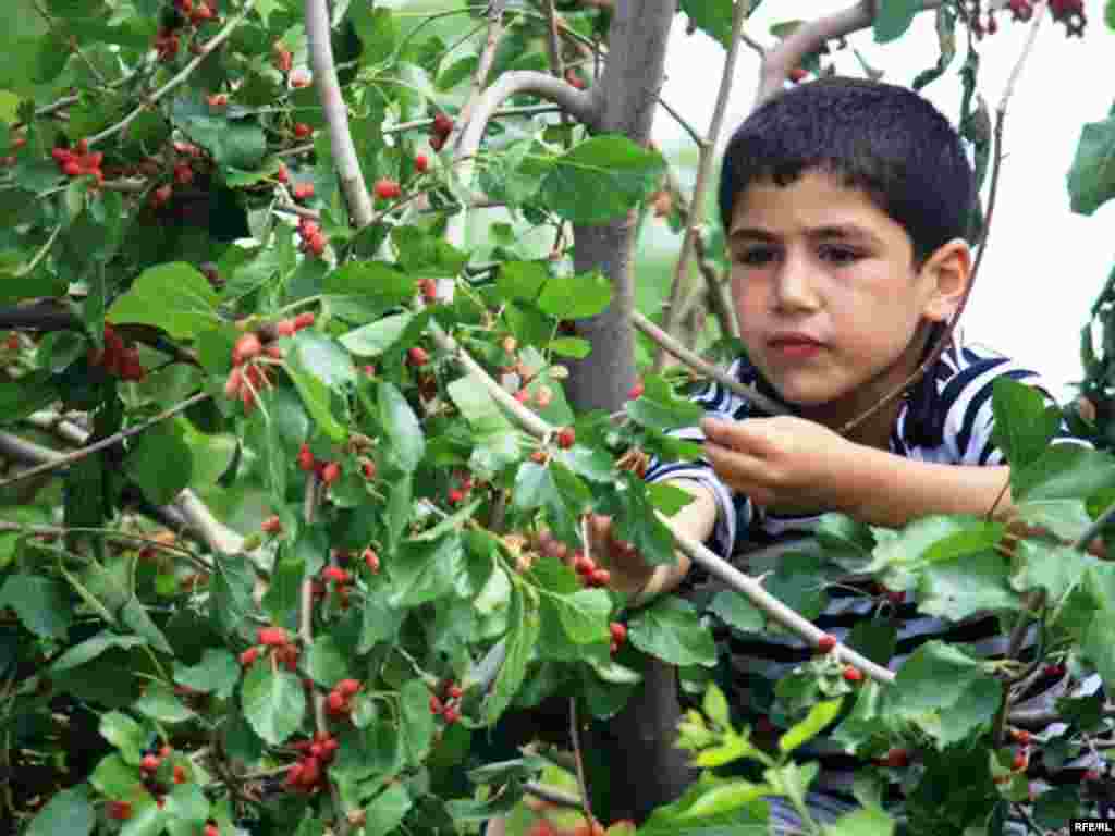 Türkmenistanyň çar tarapyndan #34