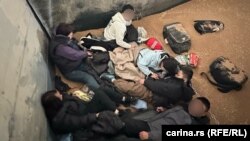 Migranti u kamionu sa pšenicom, Šid, Srbija, 5. novembar 2025.