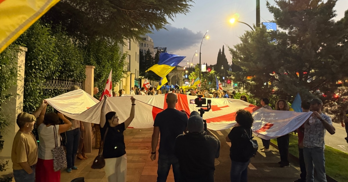 „ოცნება“ ხედავს რუსეთის წარუმატებლობას, არბილებს პოზიციებს უკრაინასთან - ოპოზიციის ნაწილი