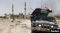 Іракські силовики в центрі Фаллуджі, фото 20 червня 2016 року