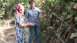 Ozodlive: Бир хонага тиқилган 3та синф ўқувчилари, Хоразмдаги япон келини ва Москвада “Ош” фестивали