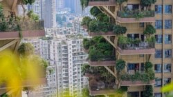 Gjelbërim për zhbërjen e xhunglave të betonta