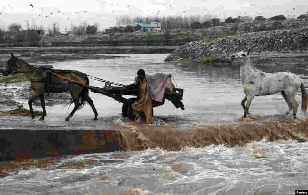 A man and his horses cross a seasonal stream in Choha Gujar village on the outskirts of Peshawar, Pakistan. (Reuters/Khuram Parvez)