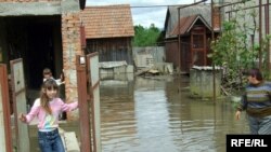 Затоплена садиба на Закарпатті