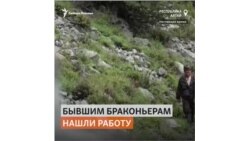 Алтайским браконьерам нашли работу в национальном парке
