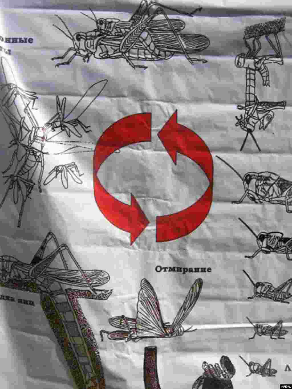 Ҳамлаи малах ба Хатлон #20