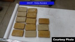 503 kilos of cocaine where found by a Romanian importer when he checked his cargo which was supposed to be filled with bananas. 