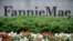 Кредитные компании Fannie Mae и Freddie Mac на слуху у каждого американца с детства