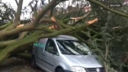 Жертвами сильного шторма в Германии и Нидерландах стали шесть человек