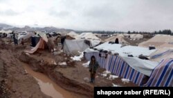 په هرات کې سیلاب ځپلي