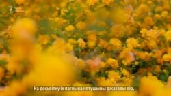 «Мова — прырода душы». Чытае Хэльга Краўчанка