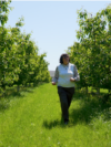 Moldova: Tatiana Pavliuc from Burlănești, Ocnita, who has cherry, plum and apple orchards that were affected by frosts in May