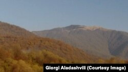 საბუეს ტყეში ხანძარი ლიკვიდირებულია