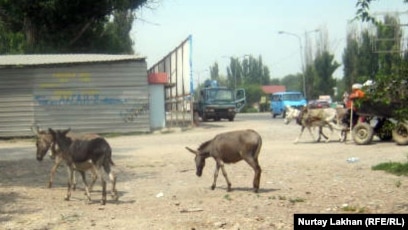 Танысқысы келетін еркектердің жеке порно фотолары