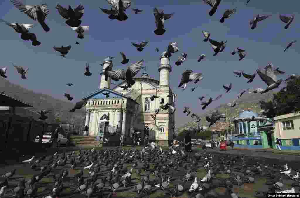 Pigeons take to the air outside the Shah-e Doh Shamshira Mosque as Afghans head for morning prayers in Kabul. (Reuters/Omar Sobhani)