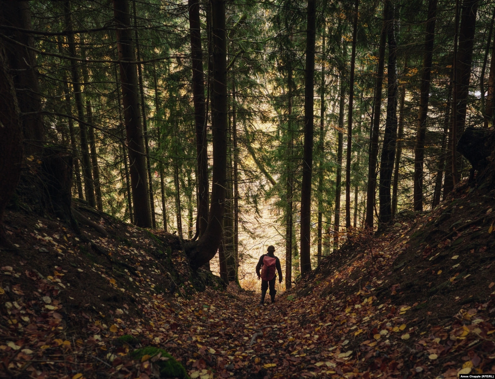Кристек върви по дере, някога използвано от уранова мина в Рудните планини.