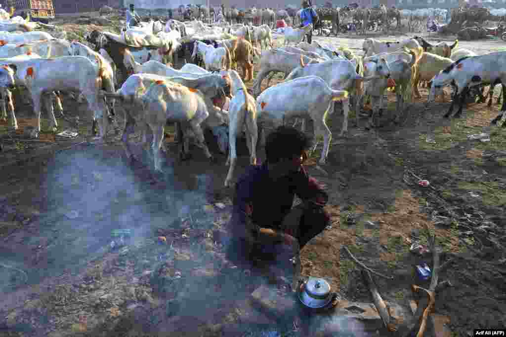 A Pakistani farmer prepares tea in front of his goat stall at a cattle market selling sacrificial animals ahead of the Muslim Eid al-Adha festival in Lahore. (AFP/Arif Ali)